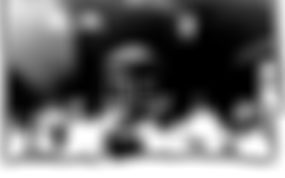 Free Range | Charici