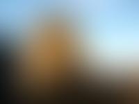 The Parish Of The Nativity Of Christ Orthodox Christian Property Trust Deed | Charici