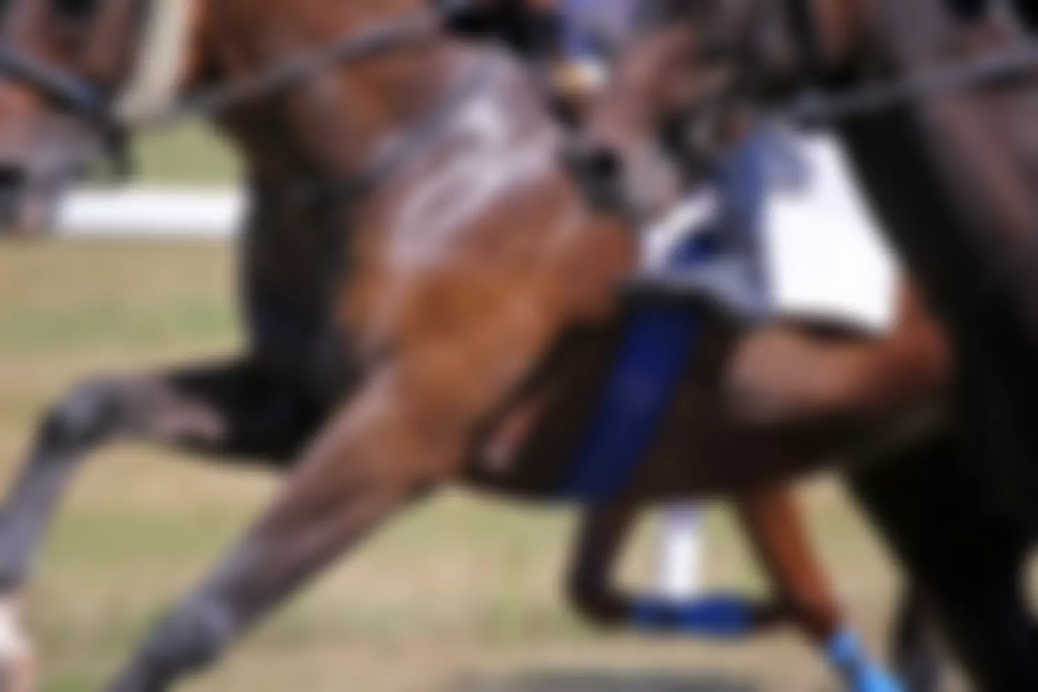 Prowting Charitable Foundation | Charici