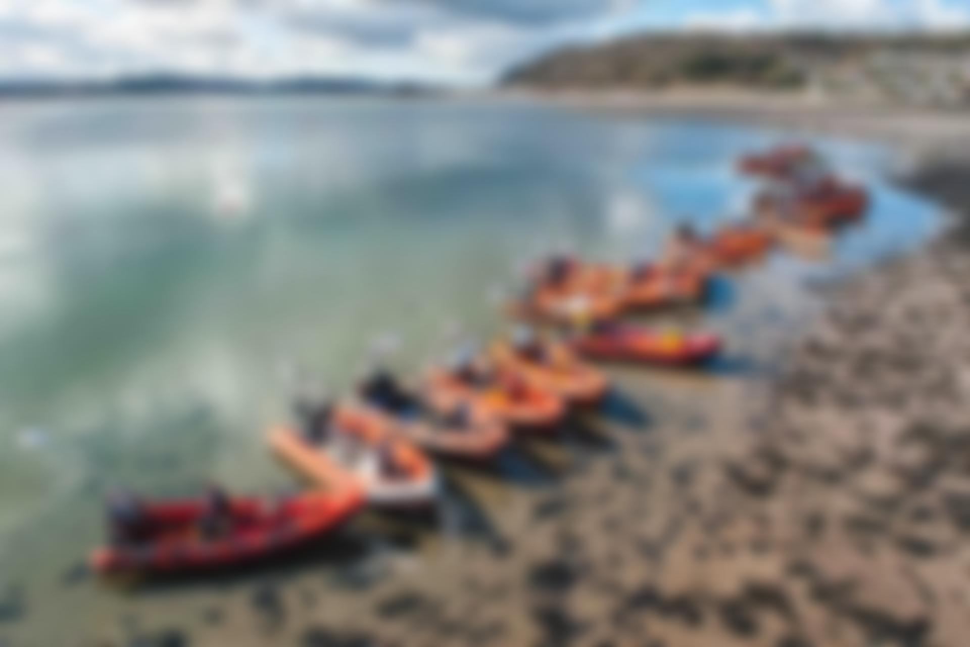 The British Sub Aqua Jubilee Trust | Charici