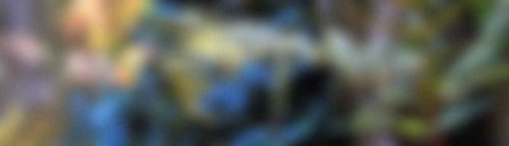 Radley Charitable Trust | Charici