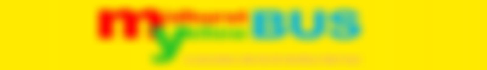 The Midhurst Community Bus | Charici