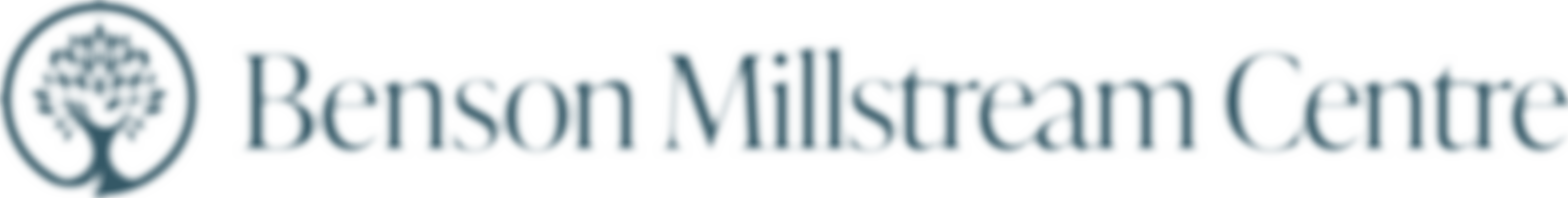 Millstream Day Centre | Charici