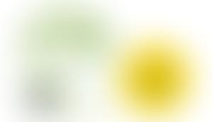 Spring Housing Association Limited | Charici