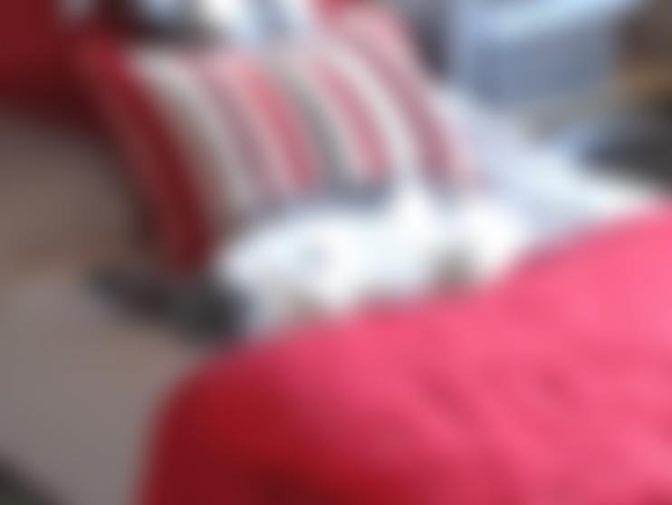 Special Needs Older Rabbits Sanctuary | Charici