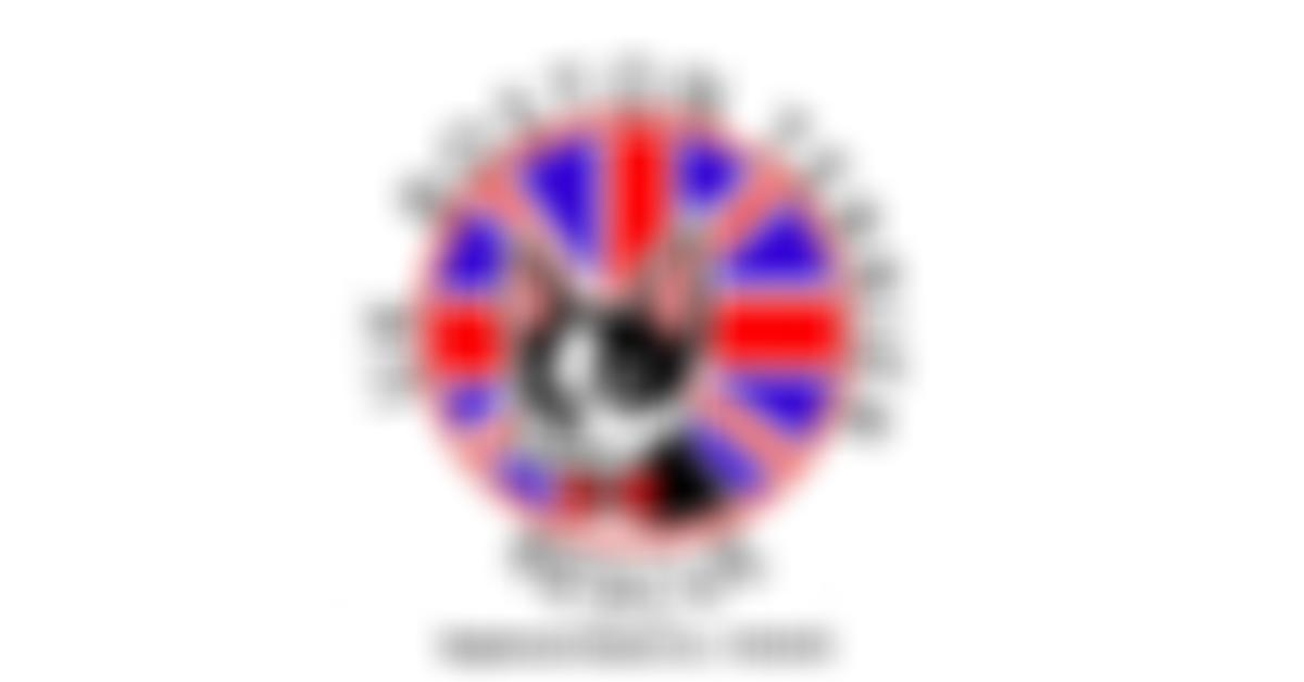 UK Boston Terrier Rescue | Charici