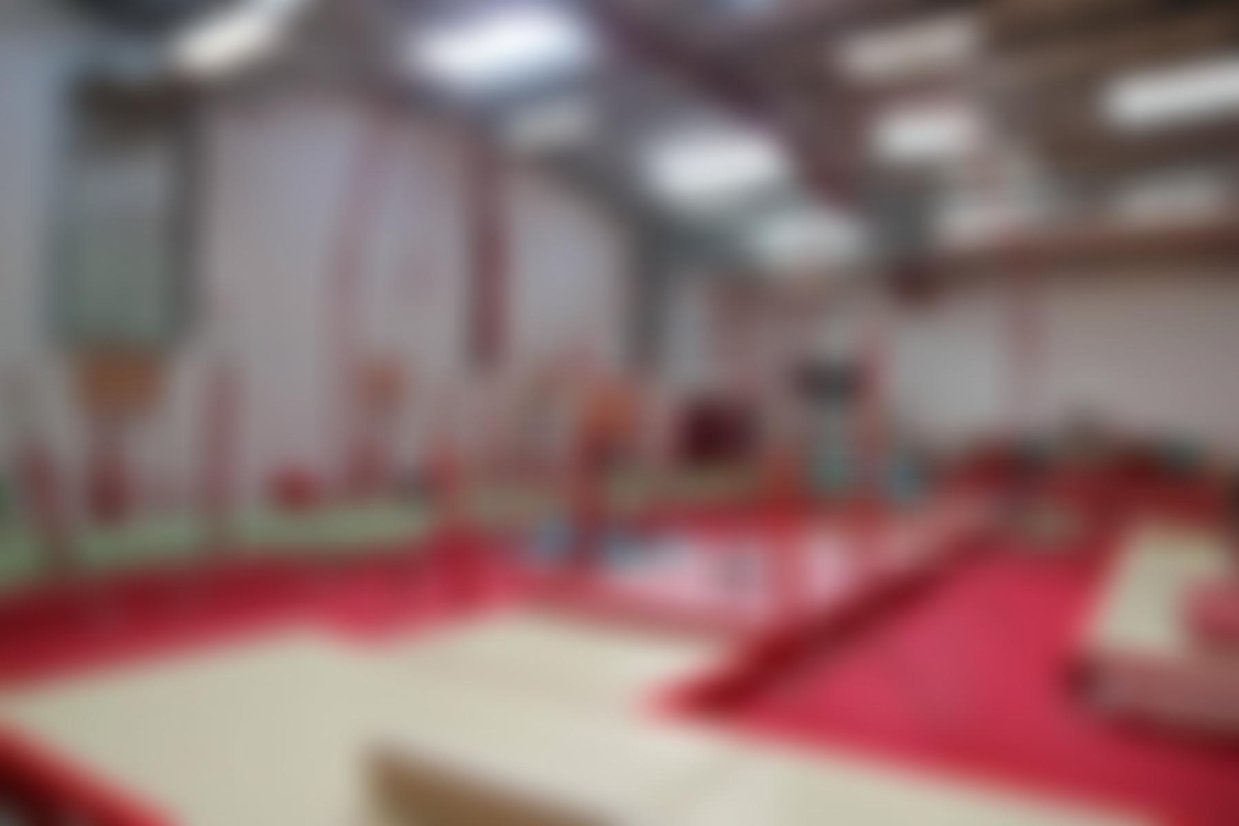 Pegasus Gymnastics Club Limited | Charici