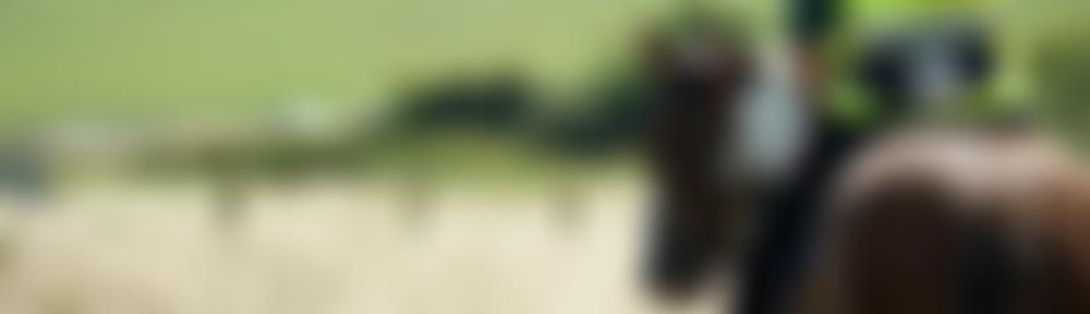 Central Trec Group | Charici