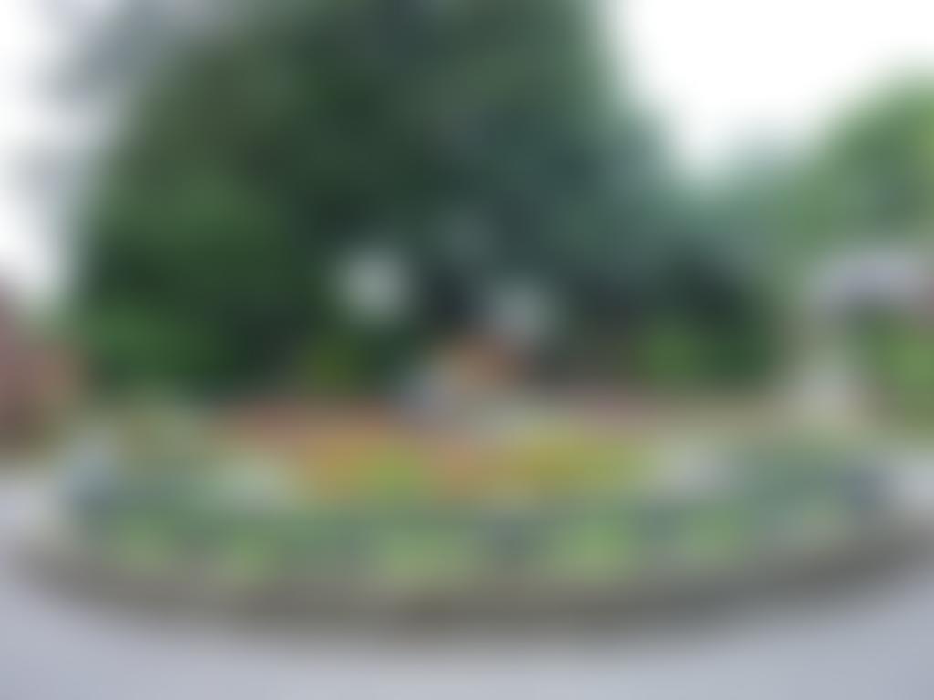 Botanic Gardens Community Association | Charici