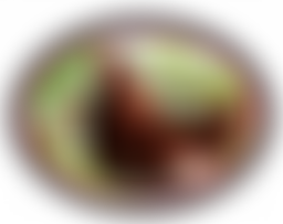 Red Hen Rehoming (Shropshire) | Charici