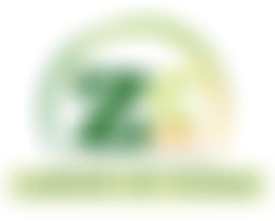 Zero Carbon North Somerset | Charici