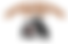 The German Shepherd Helpline | Charici