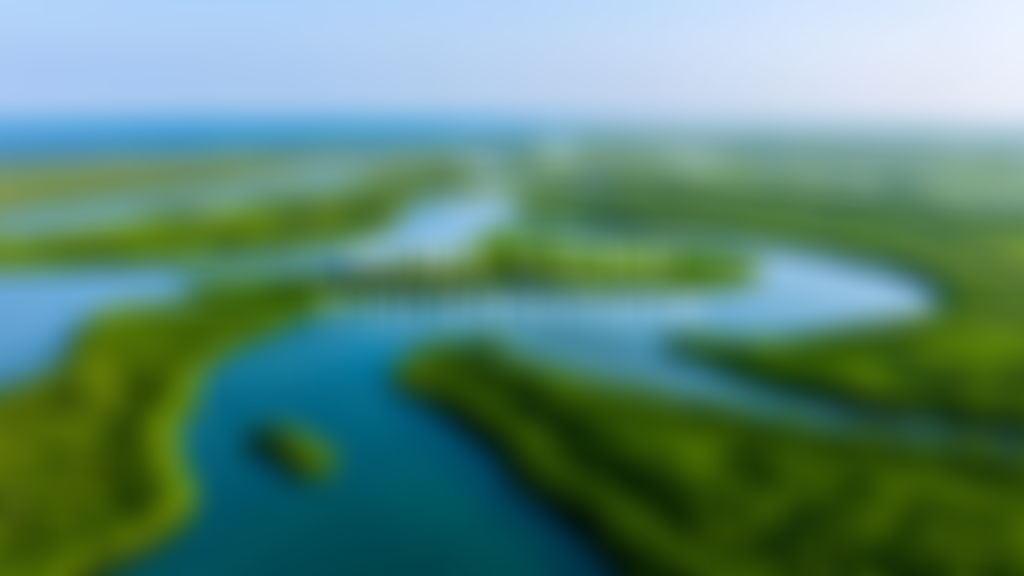 The Pure Land Foundation | Charici