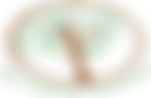 The Layberry Foundation | Charici