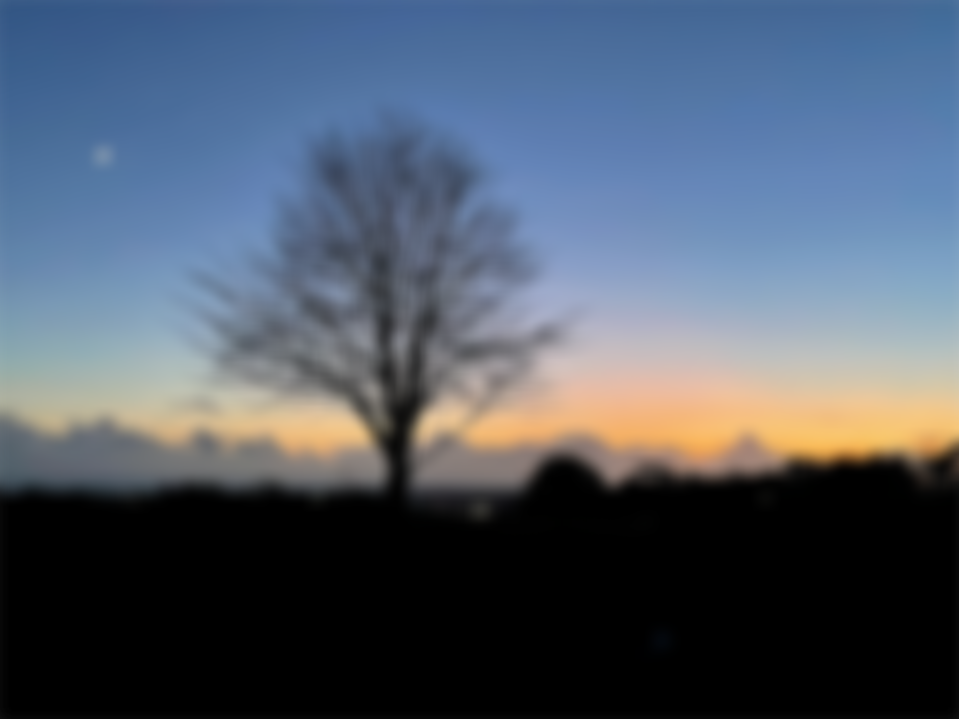 International Network For The Study Of Spirituality | Charici