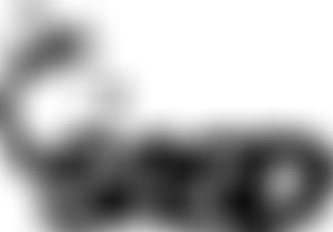 Sibes And Sled Dogs Husky Welfare Limited | Charici