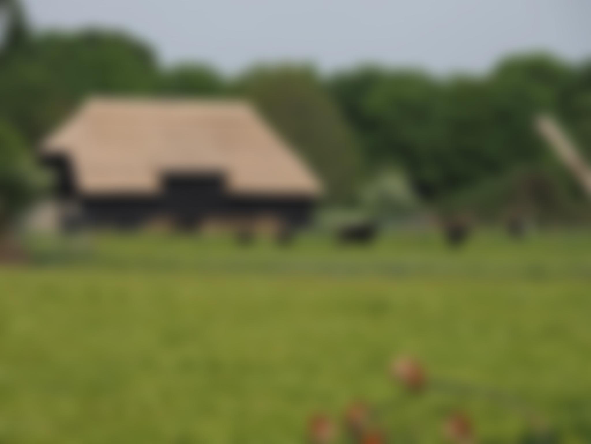 Tithe Barn Trust | Charici