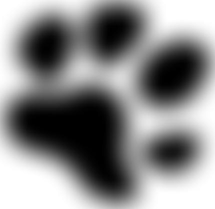 Saving Yorkshire's Dogs Rescue | Charici
