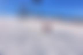 Snow Buddies UK | Charici