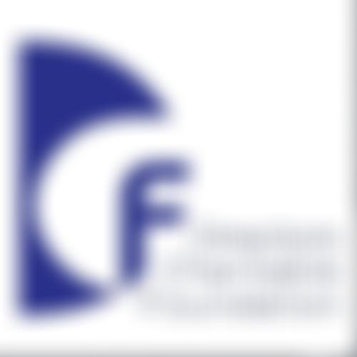 The Directors Charitable Foundation | Charici