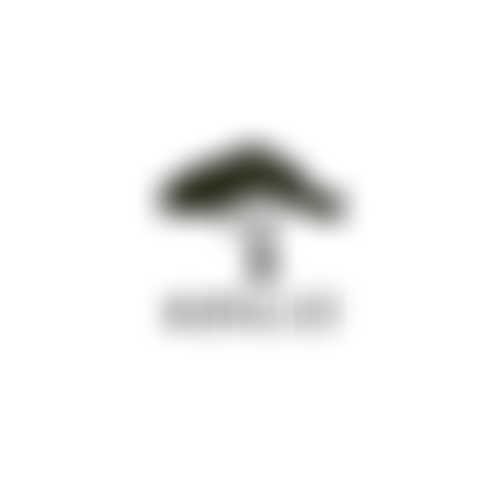 Nomad - Nations Of Migration Awakening The Diaspora | Charici