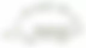 Brockworth Hedgehog Rescue | Charici