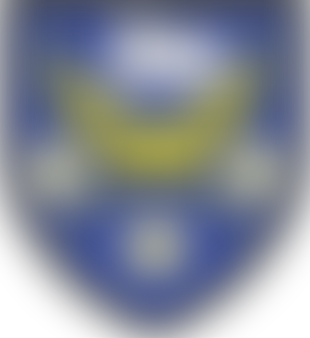 St Patricks Primary School Association | Charici