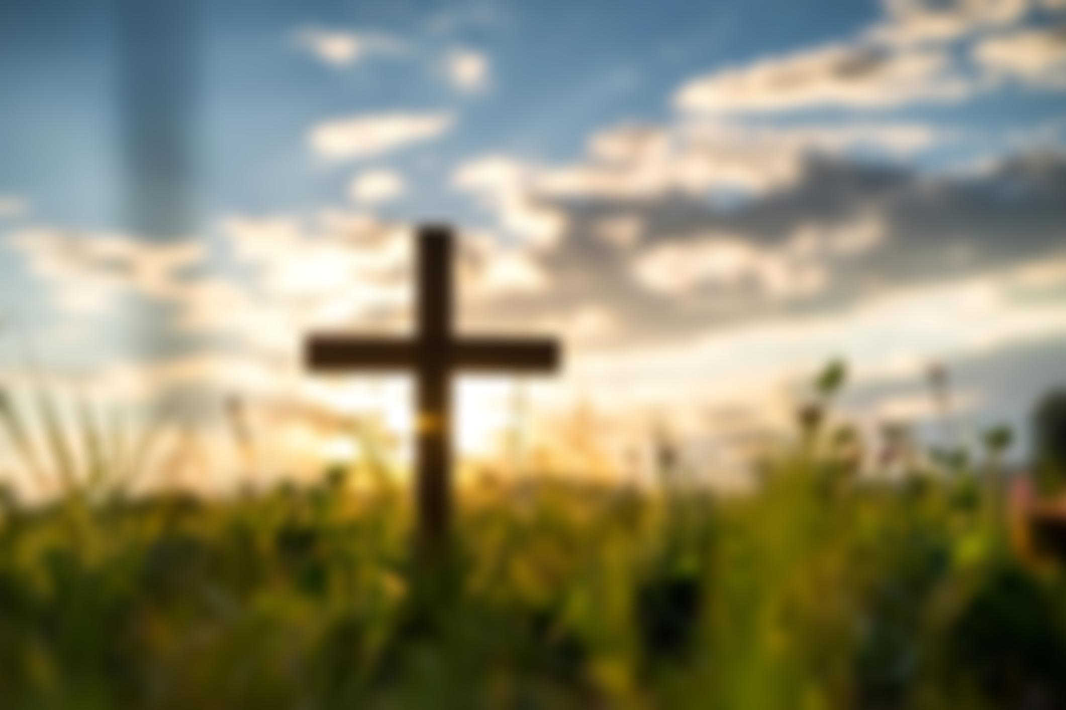 Mind Firewall | Charici