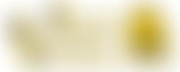 Penrith And District Beekeepers Association | Charici