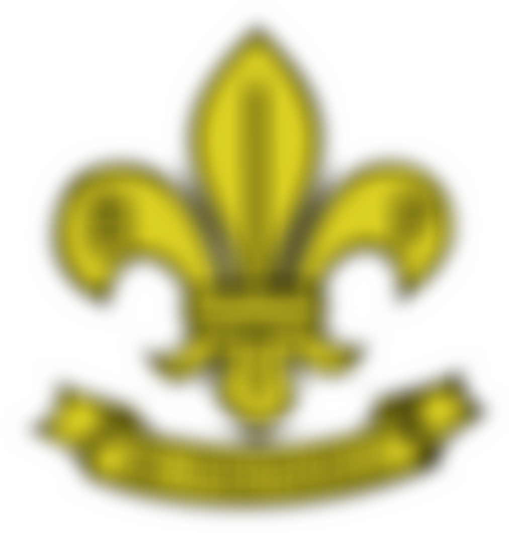 Baden-Powell Scouts' Association | Charici