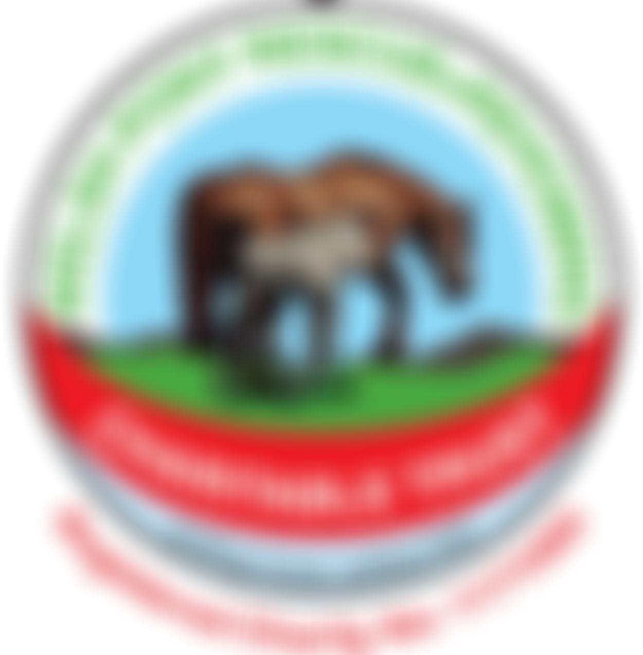 Welsh Pony Rescue & Rehoming Charitable Trust | Charici