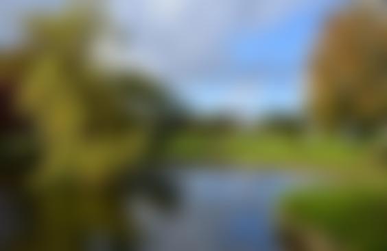 Godstone Relief In Need Charity | Charici