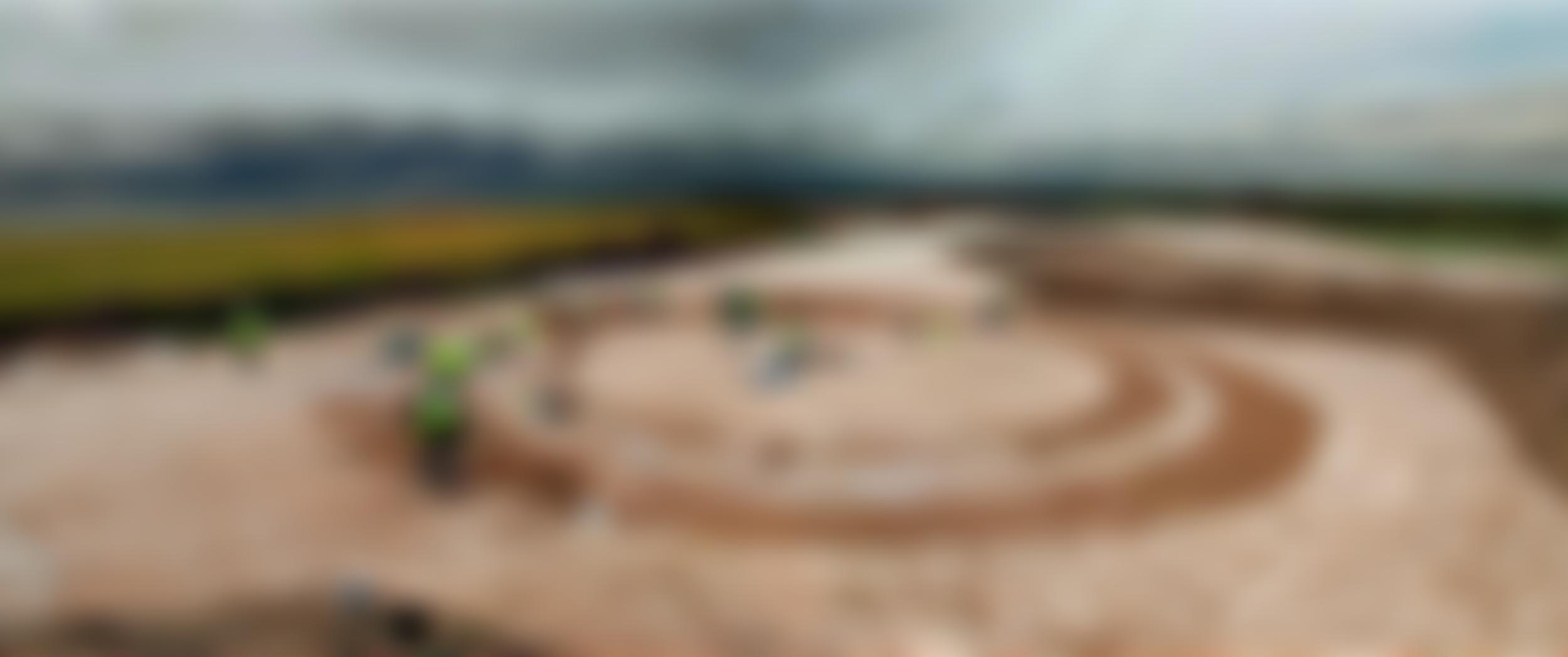 Canterbury Archaeological Trust Limited | Charici