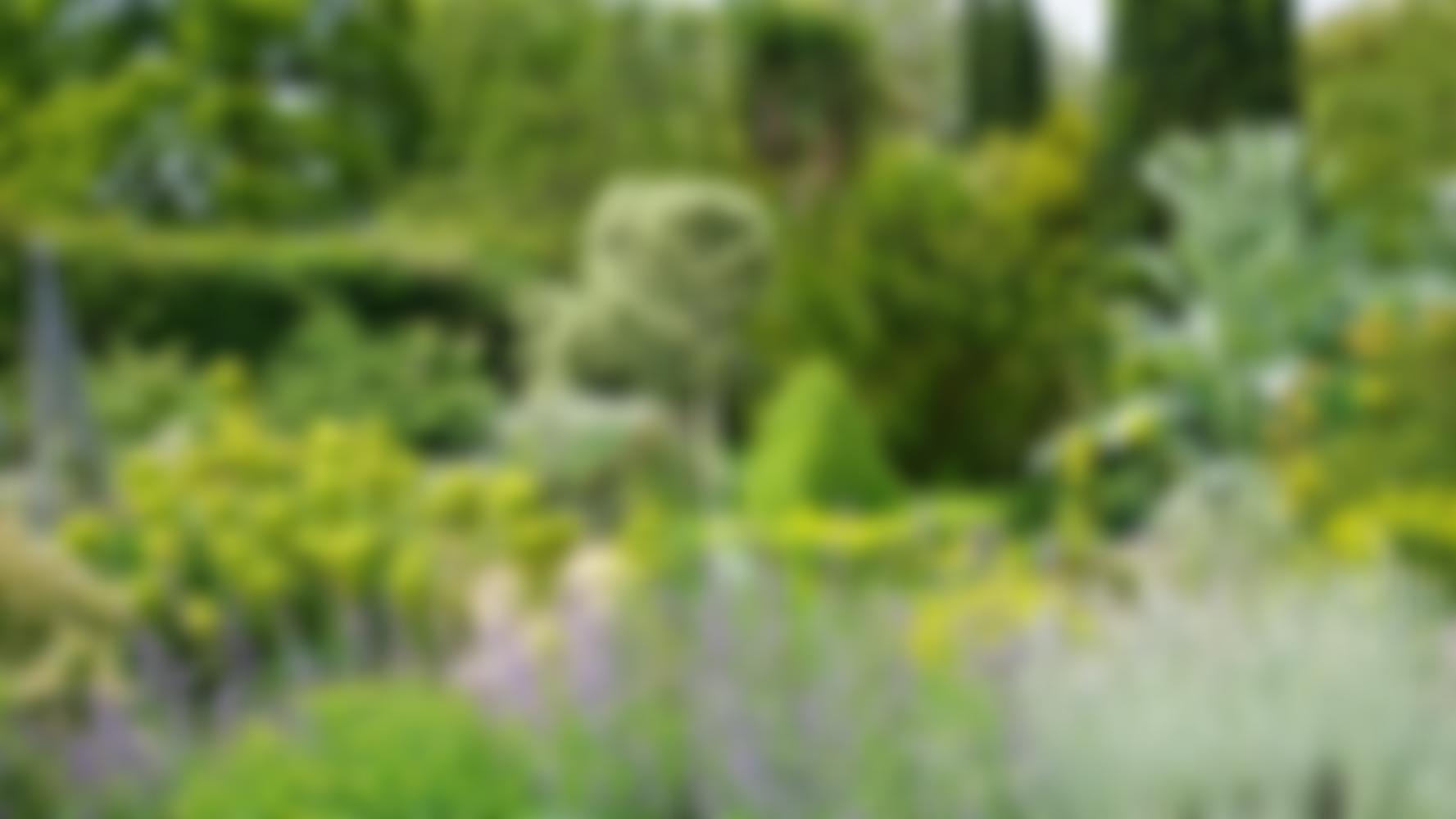 The John Brookes-Denmans Foundation | Charici