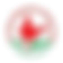 India Pentecostal Church Of God Bristol | Charici