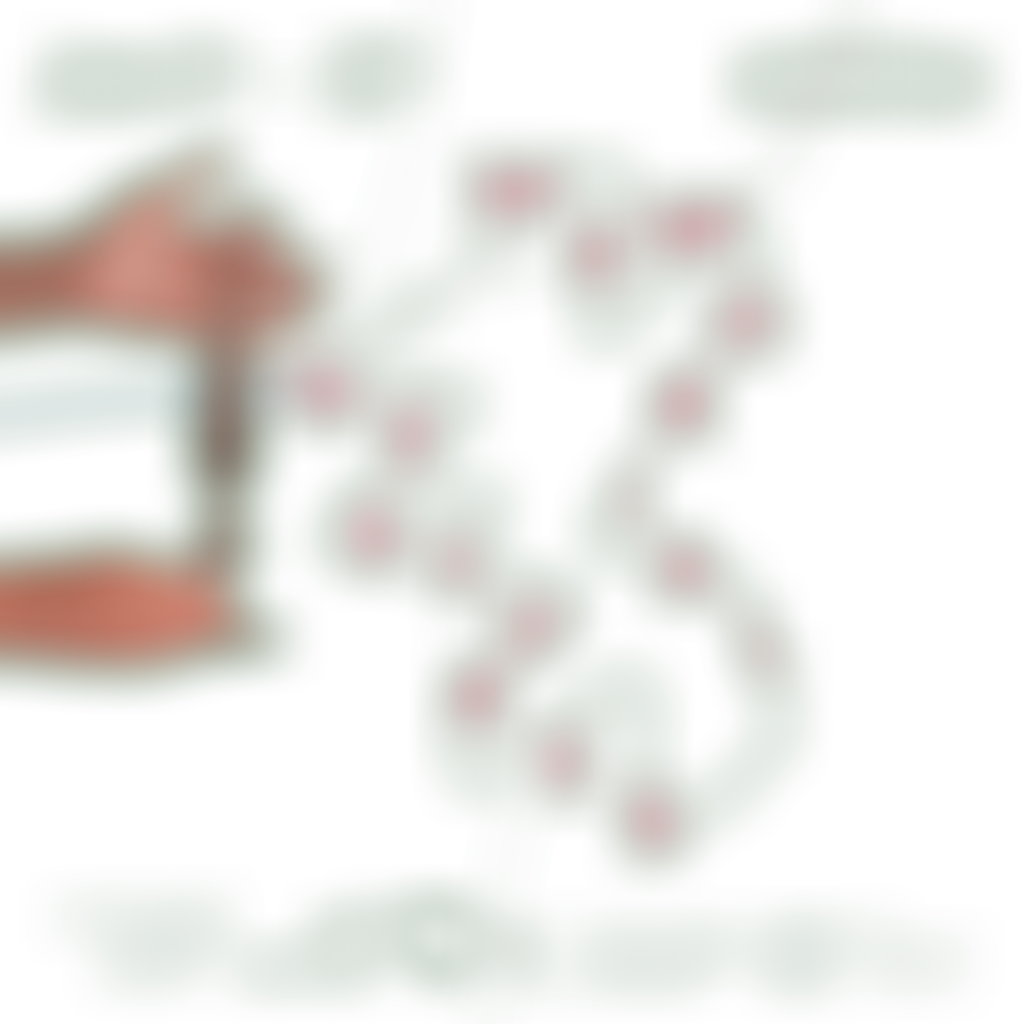 Holocaust Survivors' Friendship Association | Charici