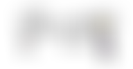 The Beau Halo Trust | Charici