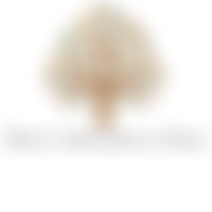 Trent Memorial Hall | Charici