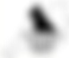 South West Gsd Rescue | Charici