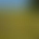 Froyle Wildlife | Charici
