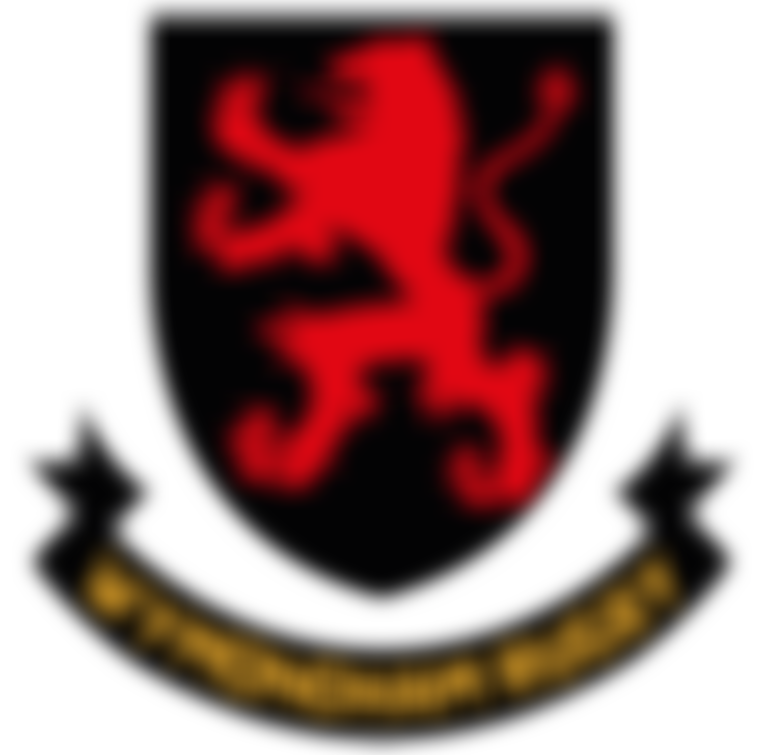 Wymondham Community Rugby Trust | Charici