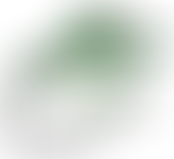 Leicester Caribbean Cricket & Social Club | Charici