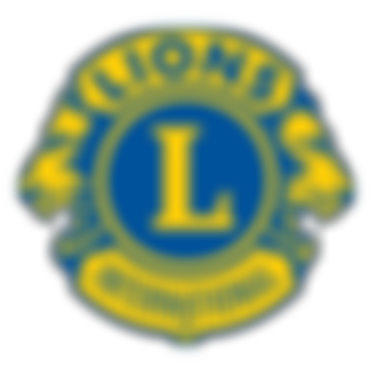 Bromley Lions Club Cio. | Charici