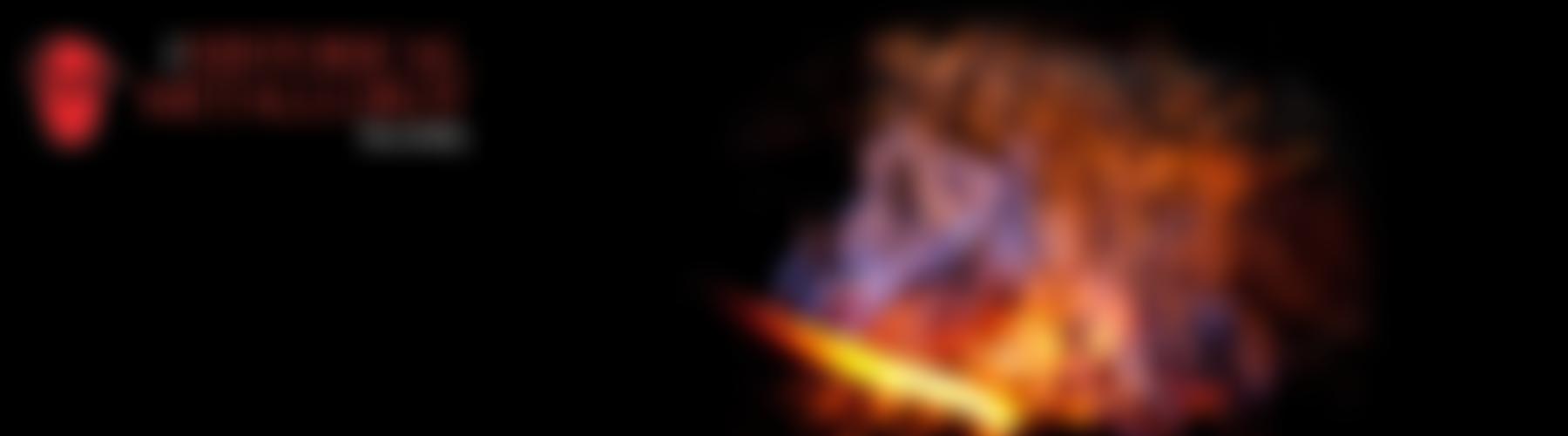 The Historical Metallurgy Society Limited | Charici