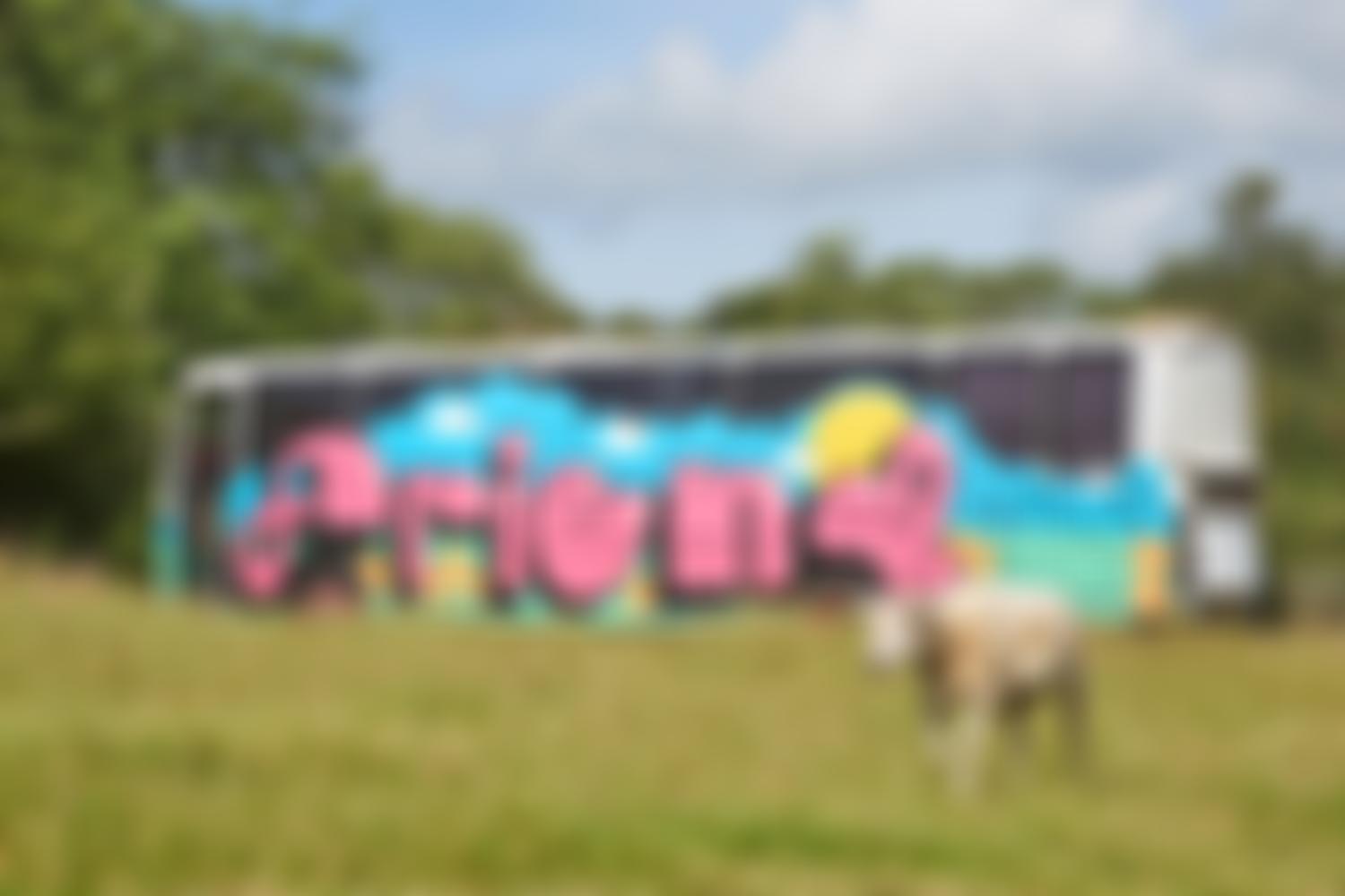 Friend Farm Animal Sanctuary | Charici