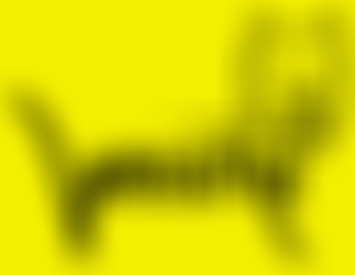 Westie Rescue UK (Wruk) | Charici