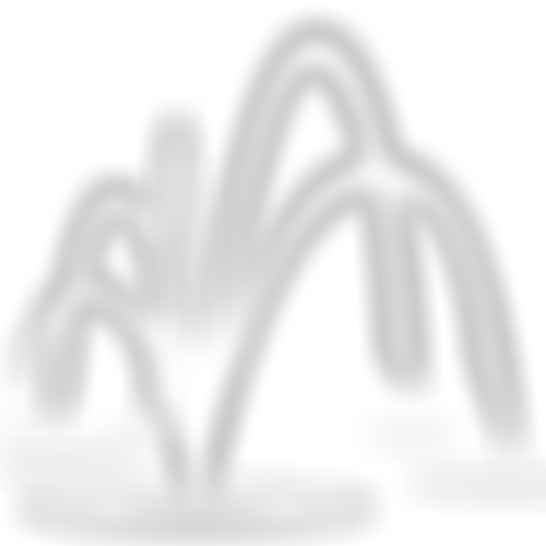 New Wells Church Family | Charici