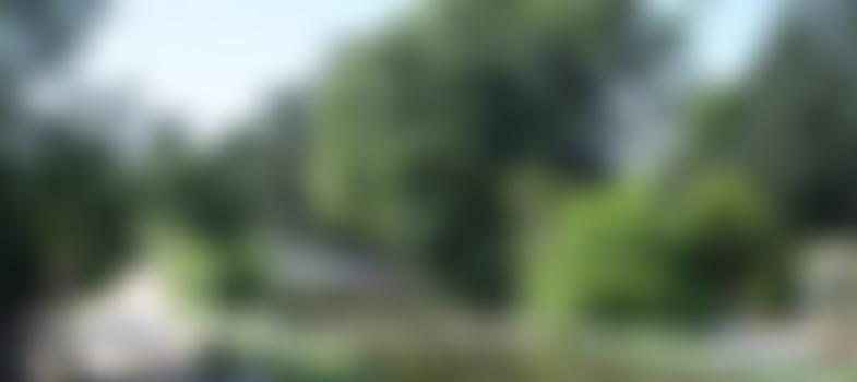 Send And Ripley History Society | Charici