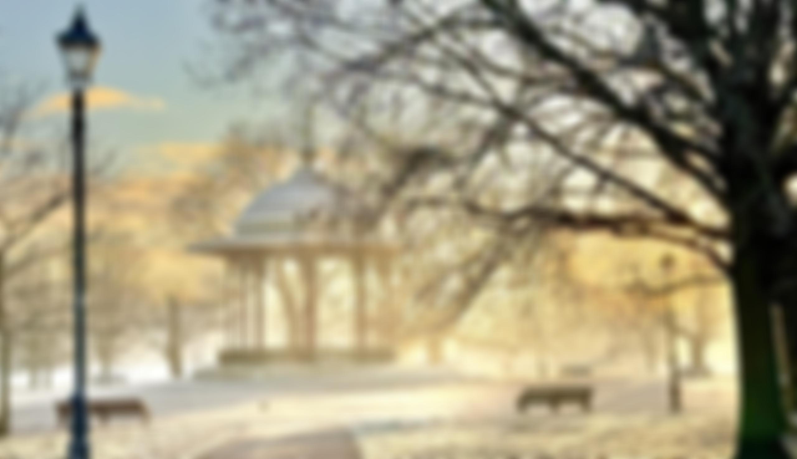 The Clapham Society | Charici