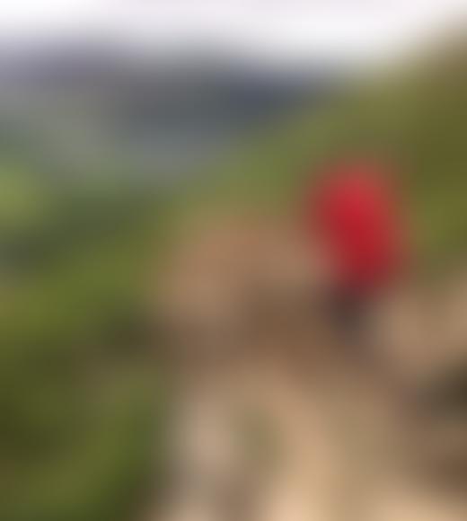 Lake District Foundation | Charici